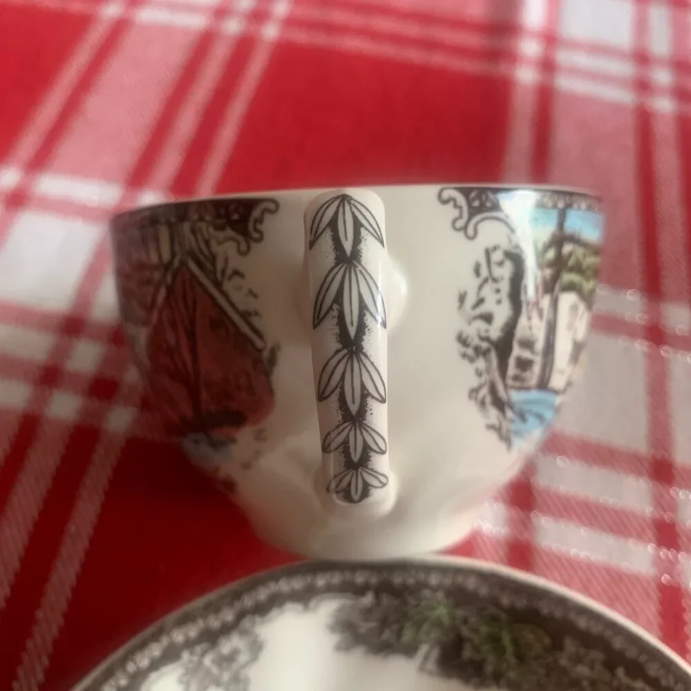 Johnson Bros FRIENDLY VILLAGE Flat Cup & Saucer
